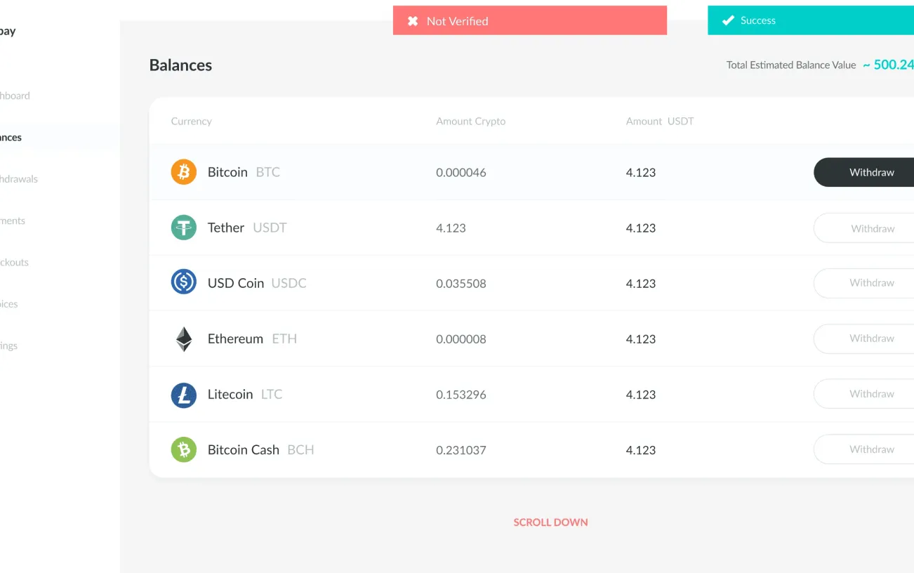 CryptoPay admin panel image 8